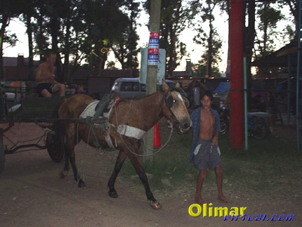 festival_03.jpg