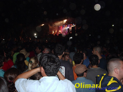 festival_19.jpg