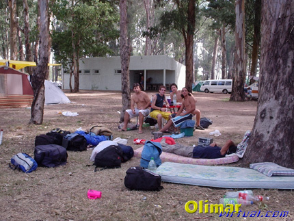 festival_38.jpg